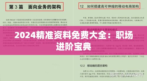 2024精准资料免费大全：职场进阶宝典