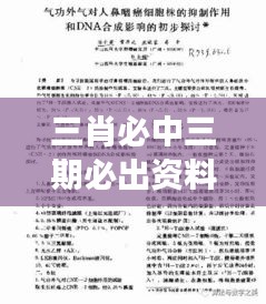 三肖必中三期必出资料：精准市场情报汇编