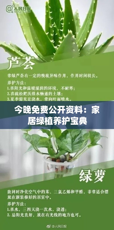 豪门贵胄 第3页