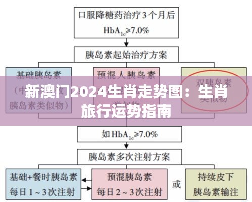 新澳门2024生肖走势图：生肖旅行运势指南