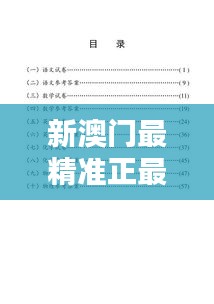 新澳门最精准正最精准022期（毕业论文参考文献）