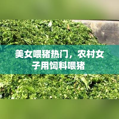 美女喂猪热门，农村女子用饲料喂猪 