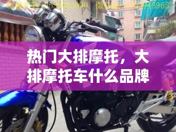 临危不惧 第3页