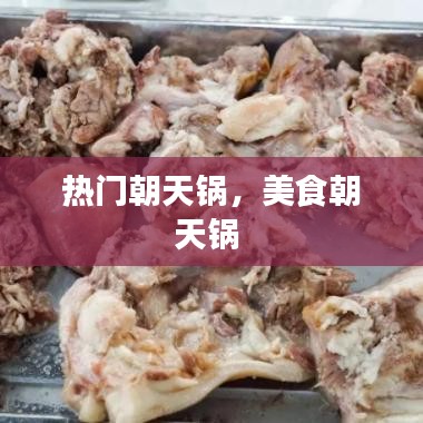 热门朝天锅，美食朝天锅 