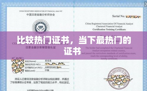 比较热门证书，当下最热门的证书 