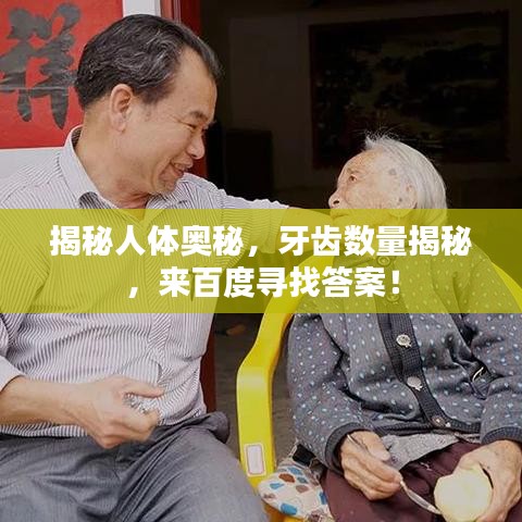 荆钗布裙 第3页