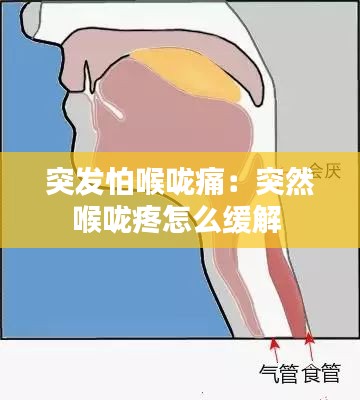 攀高结贵 第2页