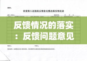 反馈情况的落实：反馈问题意见整改落实方案 