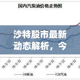 沙特股市最新动态解析，今日市场走势分析