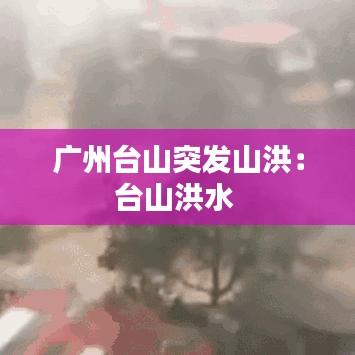 荣华富贵 第3页