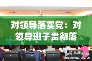 对领导落实党：对领导班子贯彻落实方面的建议 