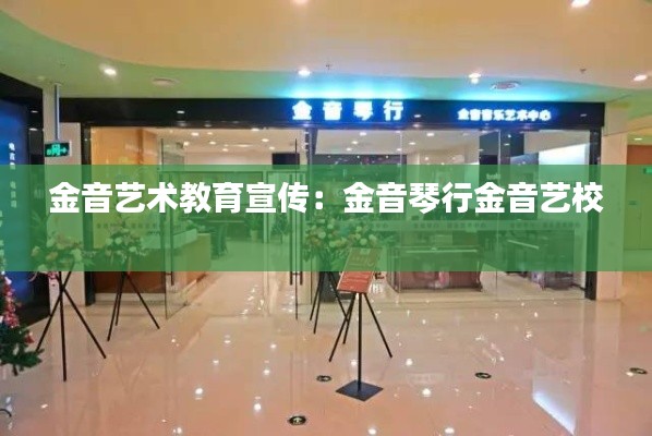 金音艺术教育宣传：金音琴行金音艺校 
