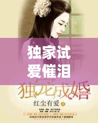 独家试爱催泪小说：独家试爱经典台词 
