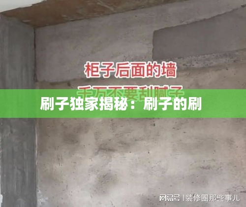 刷子独家揭秘：刷子的刷 