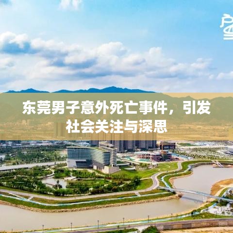 东莞男子意外死亡事件，引发社会关注与深思