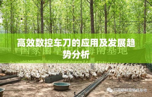 就事论事 第2页