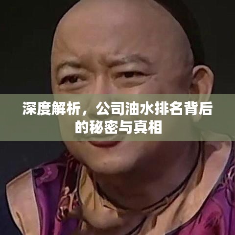 深度解析，公司油水排名背后的秘密与真相