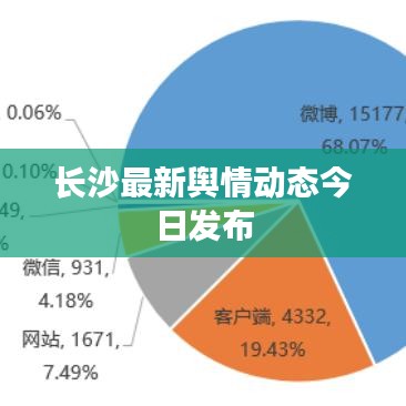 鸟为食亡 第2页