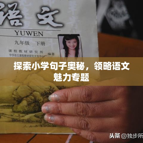 探索小学句子奥秘，领略语文魅力专题