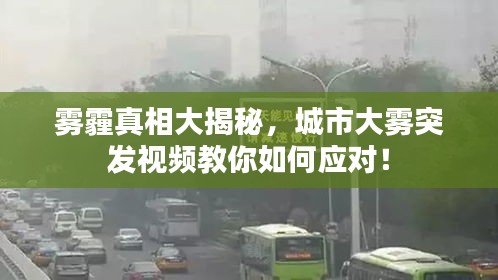 雾霾真相大揭秘，城市大雾突发视频教你如何应对！