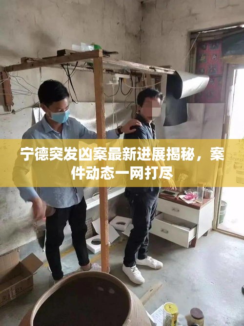 宁德突发凶案最新进展揭秘，案件动态一网打尽