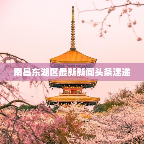 南昌东湖区最新新闻头条速递
