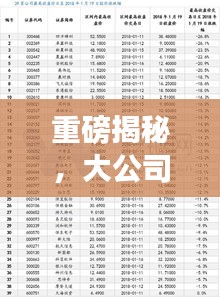 重磅揭秘，大公司分公司排名及影响力深度解析