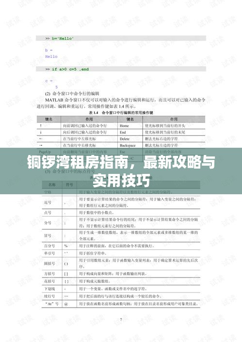 铜锣湾租房指南，最新攻略与实用技巧