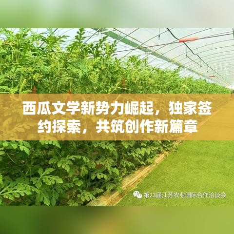 西瓜文学新势力崛起，独家签约探索，共筑创作新篇章