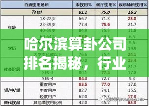 哈尔滨算卦公司排名揭秘，行业深度解读与解析