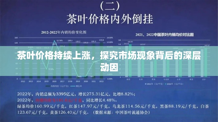 2025年6月12日 第4页