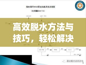 高效脱水方法与技巧，轻松解决水分问题