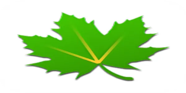 绿色守护历史版本,高效性计划实施_限量版_v6.910