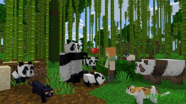 我的世界熊猫版本下载,实地设计评估解析&Advance1_v7.656