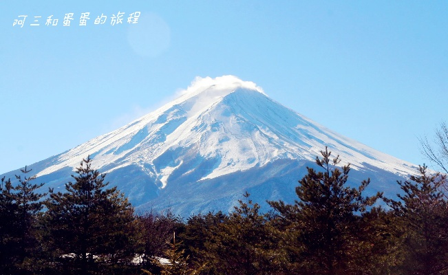 富士山聚合最新版本,数据整合设计解析-旗舰版_v1.763