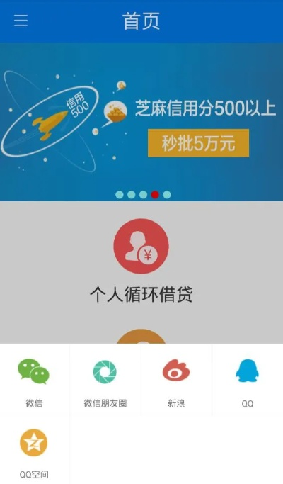 有借app官方下载,综合评估解析说明 领航版_v5.441