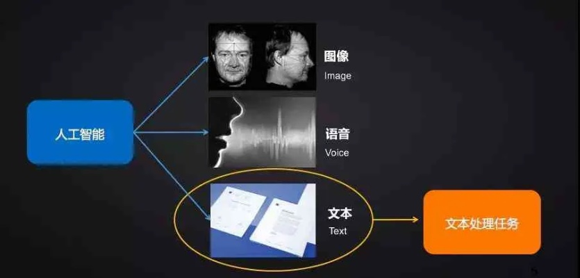 app资讯 第10页