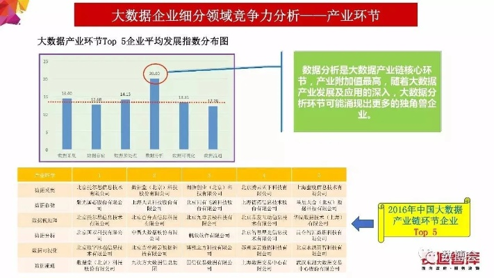 掌握这10招,你也是官方下载描述文件,实地评估数据策略_开发版1_v3.493大神!