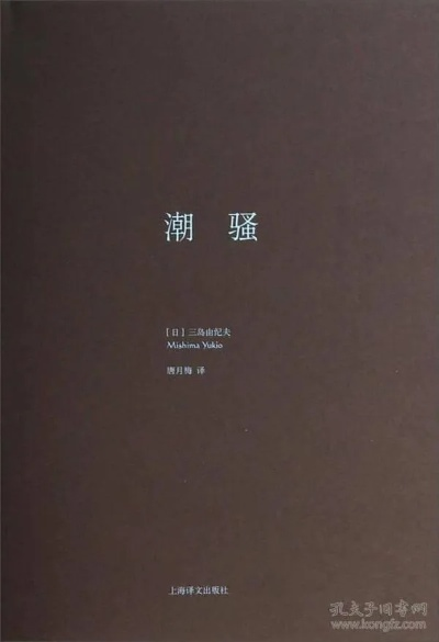 潮骚版本,精细设计解析-10DM1_v10.734