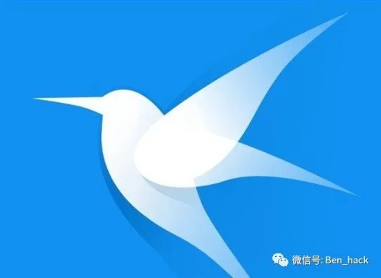 迅雷下载最新版本,实地评估策略_基础版_v7.555