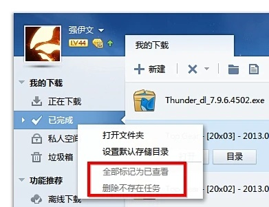 迅雷下载最新版本,实地评估策略_基础版_v7.555