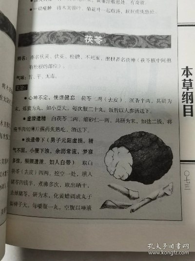 本草纲目版本,前沿评估解析&战斗版_v10.659