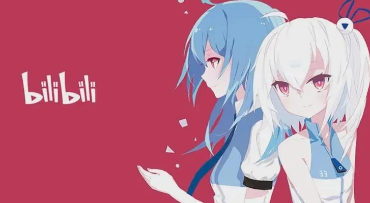 哔哩哔哩 老版本及绝地大逃杀激活码48,实地数据验证实施 zShop_v8.916