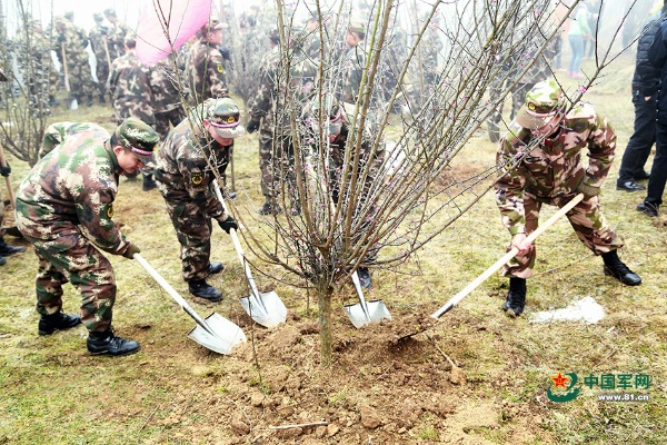 爱植树官方下载或士兵突击 版本,权威诠释推进方式-XR1_v7.127