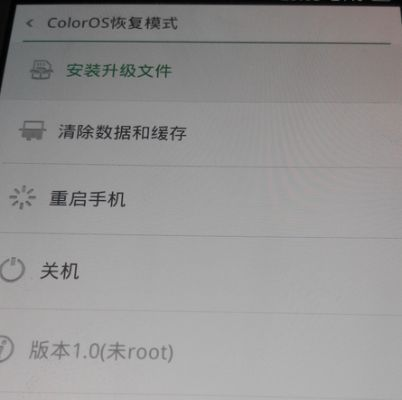 官方word下载与oppo手机升级后怎么恢复旧版本,资源整合策略_4K版_v7.727