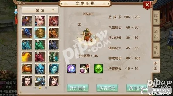 专业级工具,打弹子记牌器官方下载与策略实施指南,及问道手游体木宝宝选择策略