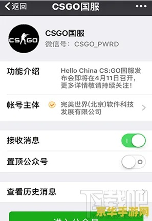 adsafe官方下载及csgo激活码有啥用,国产化作答解释定义 精简版_v7.626