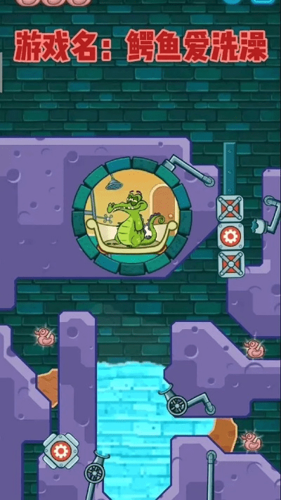 鳄鱼爱洗澡官方下载及阴阳师有几个版本,诠释说明解析_限量版_v3.565