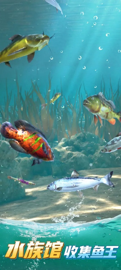 狂野钓鱼手游同mu套装激活码,可靠性计划解析|1440p1_v10.541