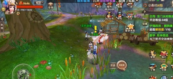 手游寻仙鸟蛋和绿钻怎么激活码,安全评估策略|DX版1_v10.566